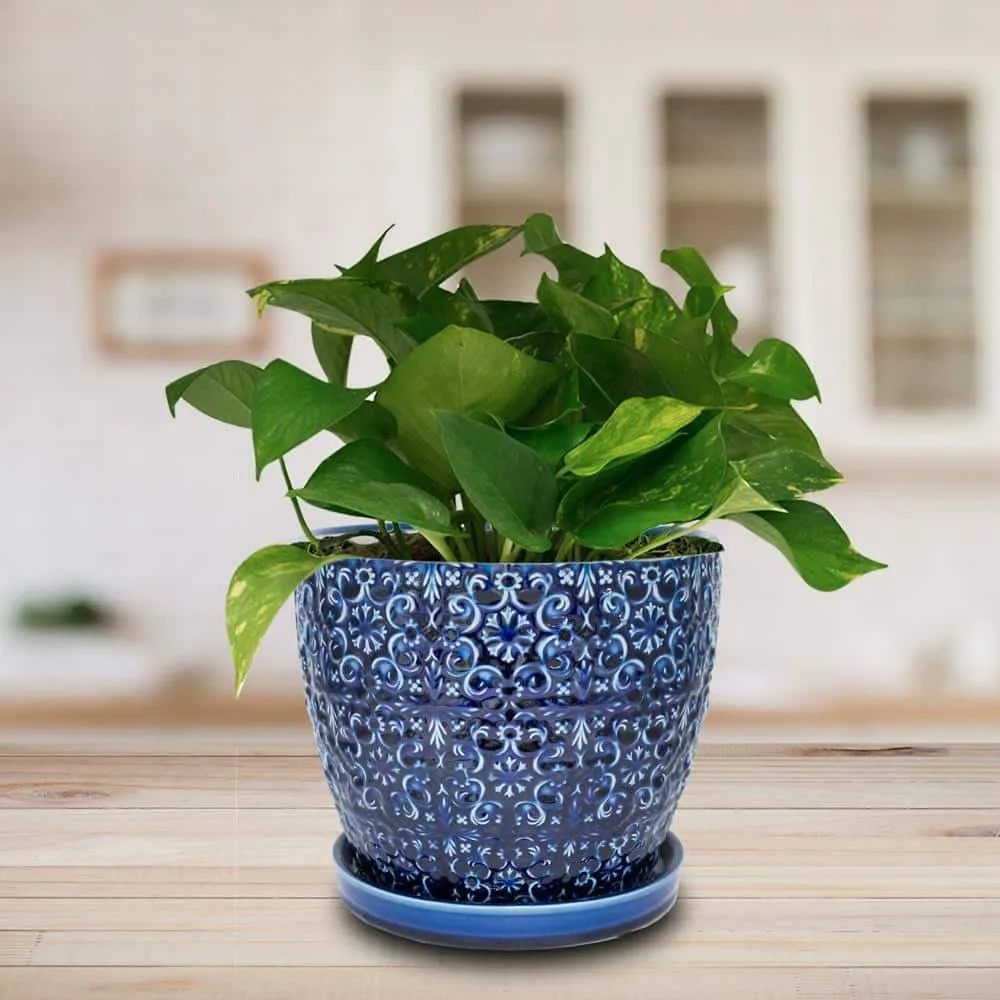 Blue Majesty Mediterranean Bell Ceramic Planter Pot - 10 inch
