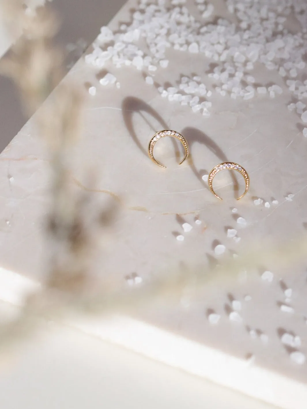 Crescent Horn Earrings