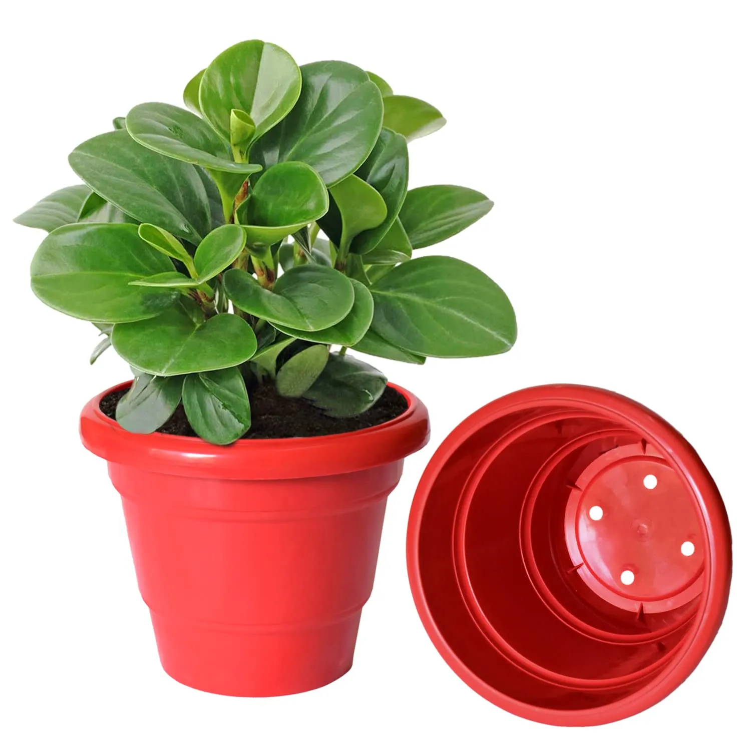 Heart Home Solid 2 Layered Plastic Flower Pot|Gamla for Home Decor,Nursery,Balcony,Garden,8"x 6",Pack of 10 (Red)