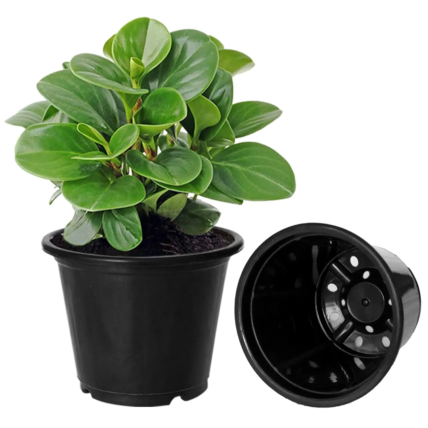 Kuber Industries Durable Plastic Flower Pot|Gamla with Drain Holes for Indoor Home Decor & Outdoor Balcony,Garden,6"x5",Pack of 8 (Black)