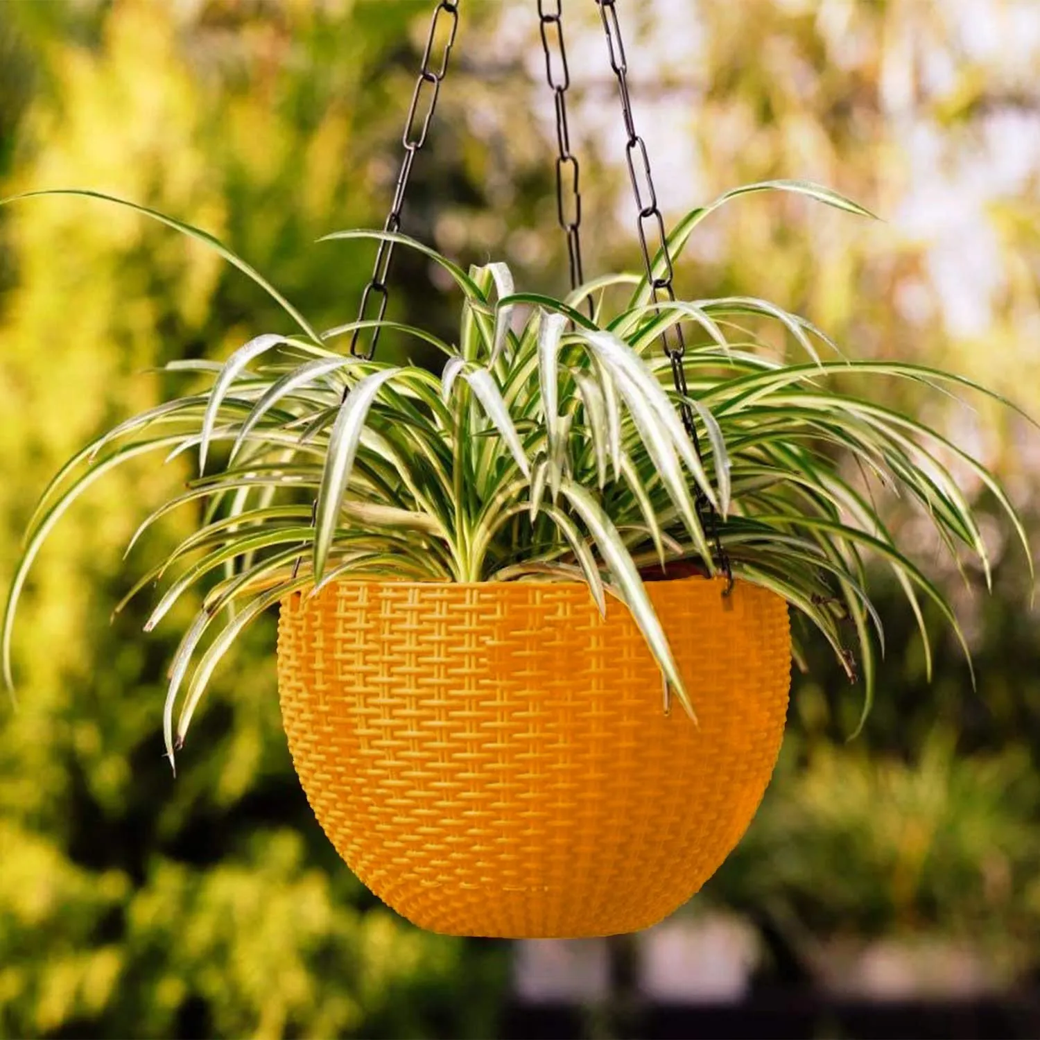 Kuber Industries Plastic Hanging Flower Pot for Balcony & Railing Set of 6 (Yellow) 53KM3850