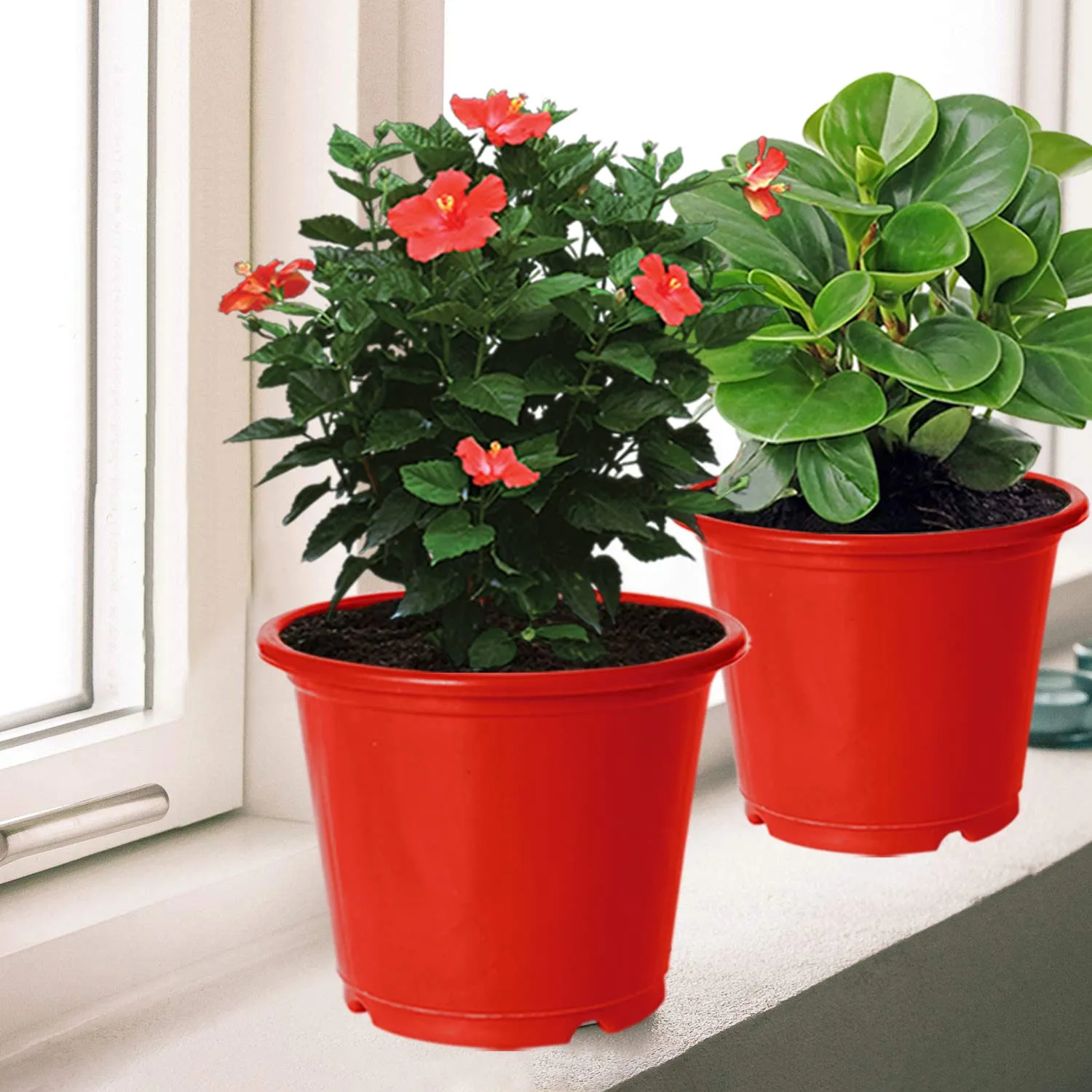 Kuber Industries Plastic Planters|Gamla|Flower Pots for Garden Nursery Home Décor,8"x6",Pack of 8 (Red)