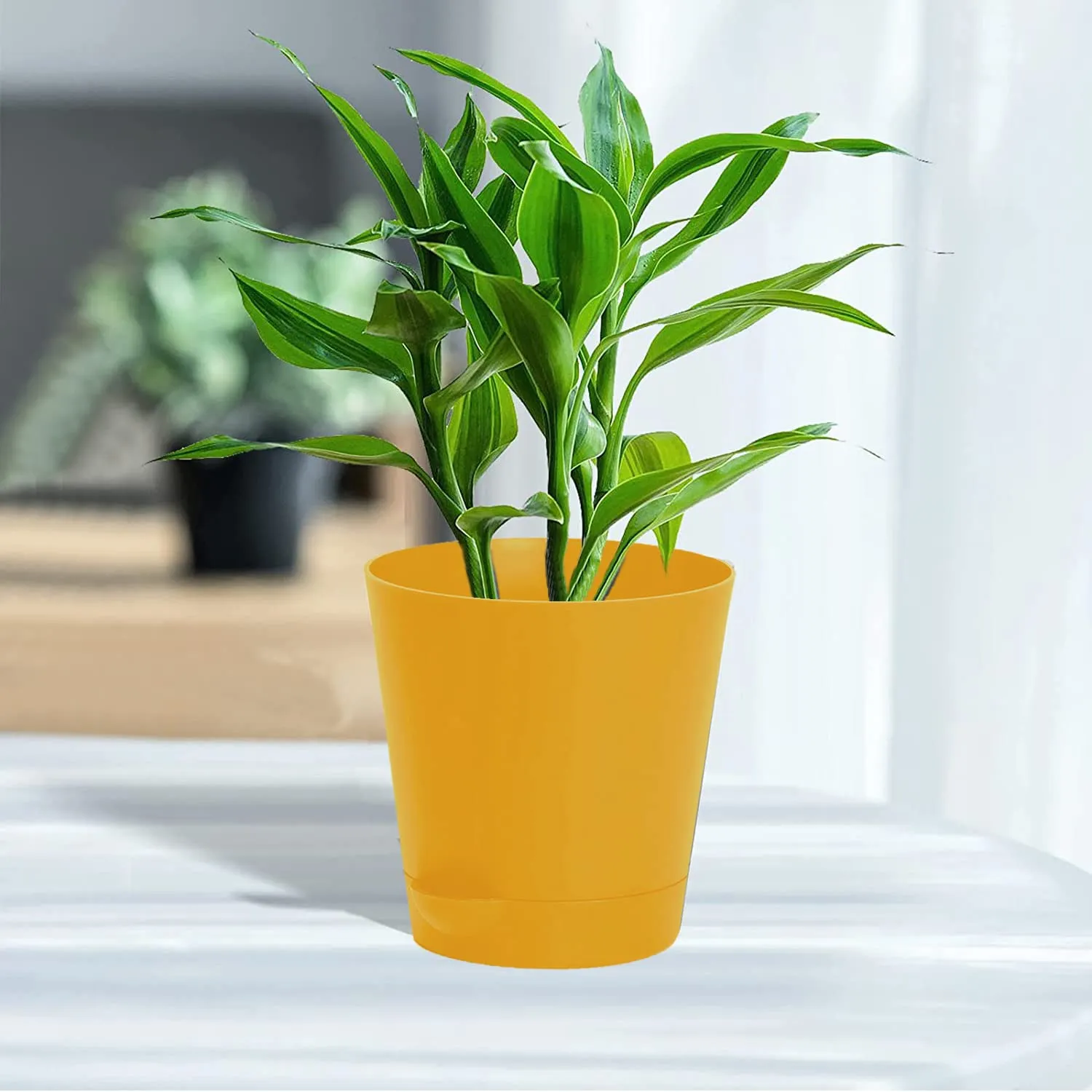 Kuber Industries Plastic Titan Pot|Garden Container for Plants & Flowers|Self-Watering Pot with Drainage Holes,6 Inch,Pack of 3 (Yellow)