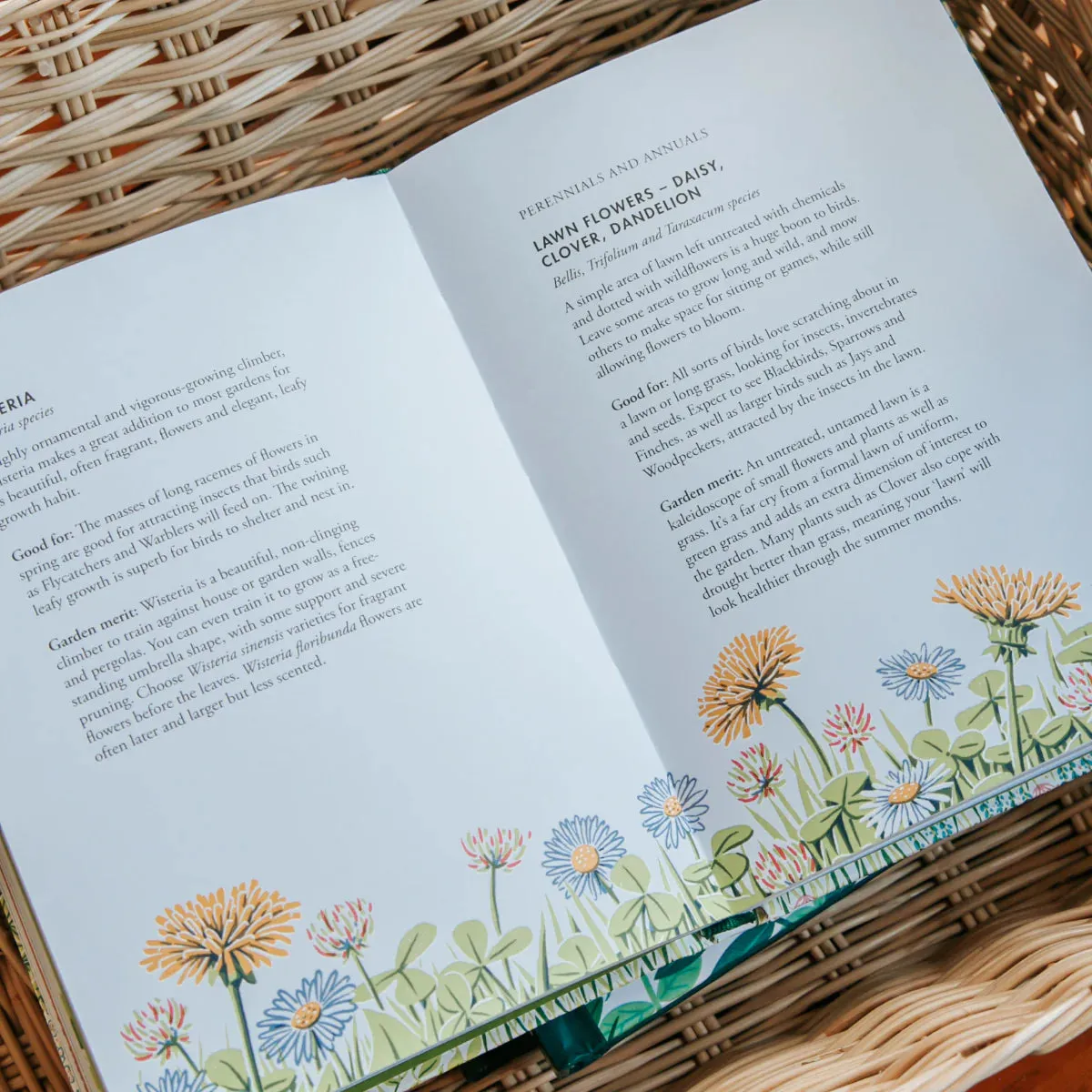 Planting For Garden Birds by Jane Moore
