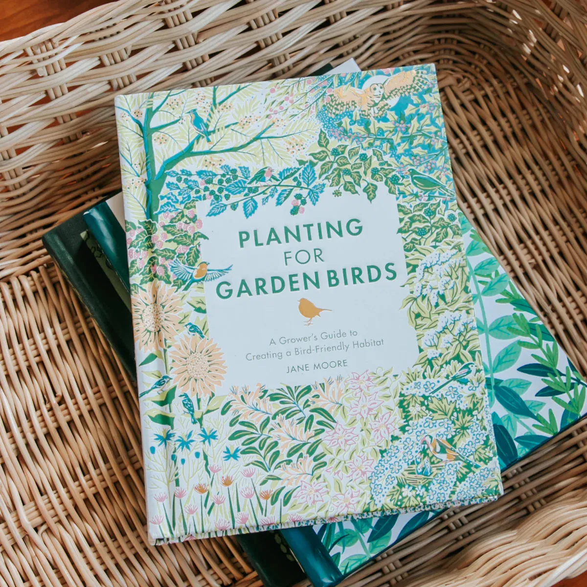 Planting For Garden Birds by Jane Moore