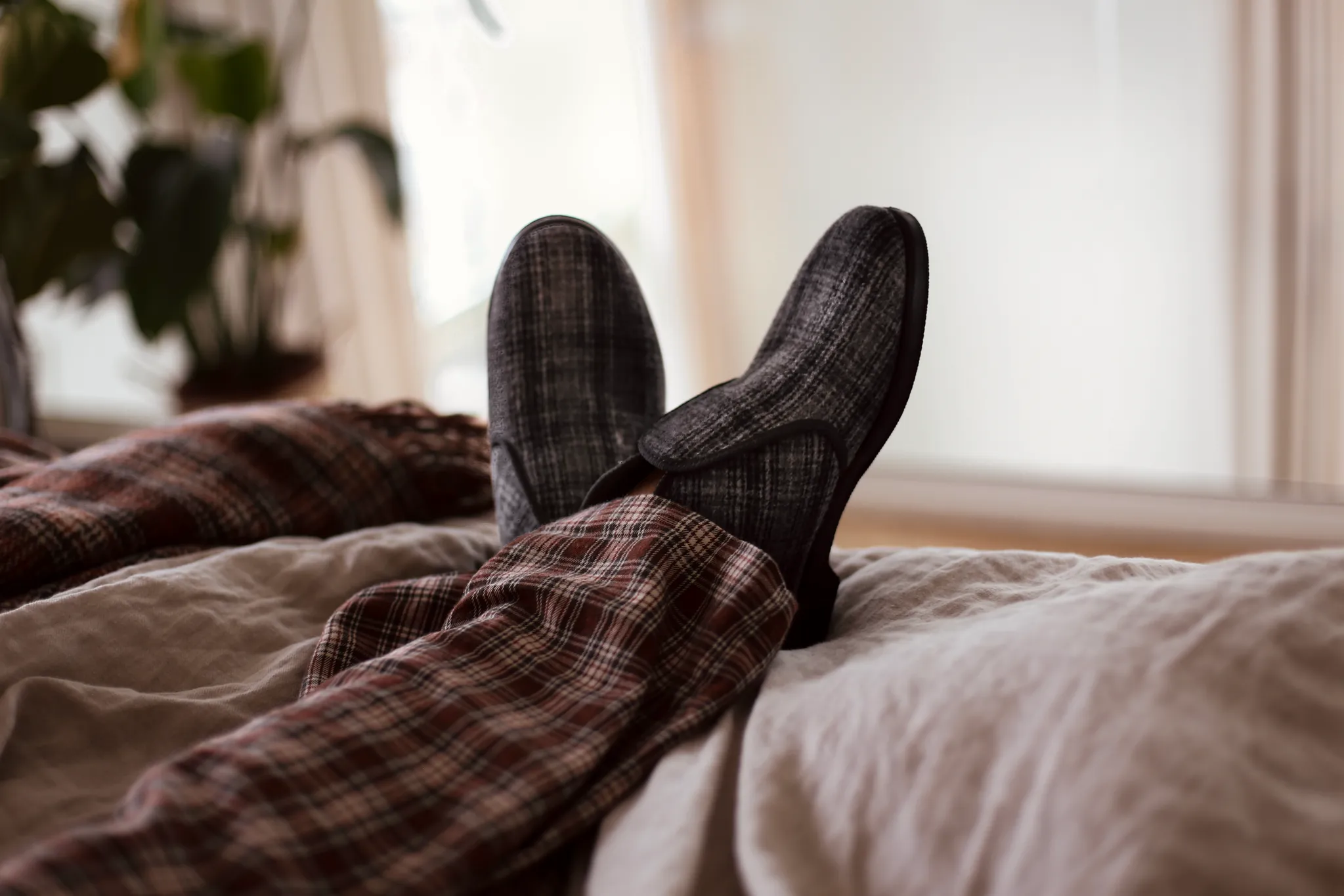 Reino Slippers
